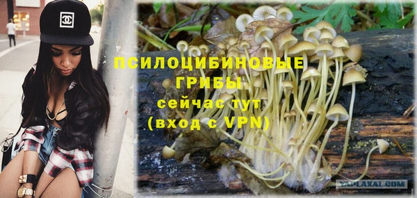 мескалин Верхний Тагил