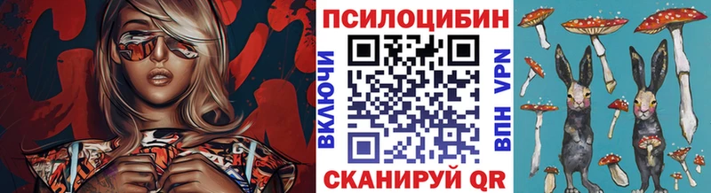 Псилоцибиновые грибы прущие грибы  Чекалин 